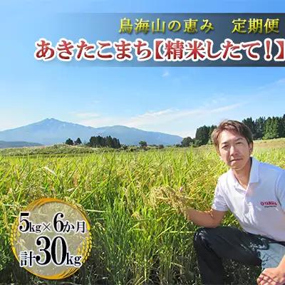 【先行予約】《定期便 6か月》 あきたこまち 5kg  精米 あきたこまち R8年産