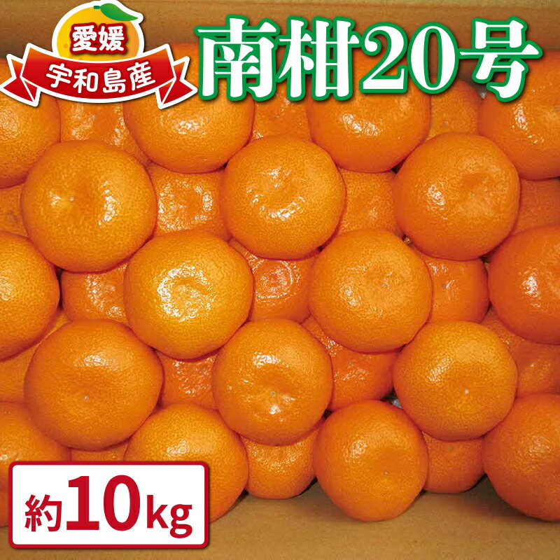 【ふるさと納税】 愛媛みかん 南柑20号 10kg 甘い 美味しい ワールドファーマーズ 先行予約 温州 みかん うんしゅう 温州みかん 愛媛ミカン 愛媛蜜柑 愛媛県産みかん みかん 蜜柑 mikan 果物 くだもの フルーツ 柑橘 数量限定 産地直送 国産 愛媛 宇和島 B015-024002