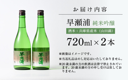 入手困難【早瀬浦】純米吟醸 山田錦 720ml × 2本 セット【日本酒 地酒 福井 美浜 早瀬 フルーティ 男酒 硬水 ミネラル 希少 ご褒美 家飲み】[m16-b023]