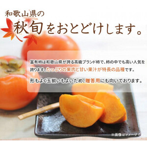 【2024年11月発送】和歌山秋の味覚　富有柿　約7.5kg【日高町】【1216959】