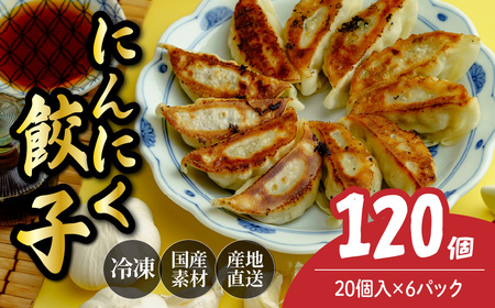 餃子 にんにく餃子 120個 | ぎょうざ 冷凍 北本フーズ