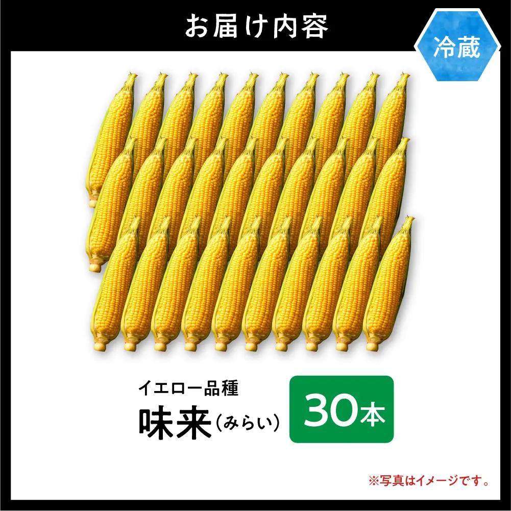 とうもろこし 30本 北海道産 イエロー種 トウモロコシ 味来 北海道産 当別町