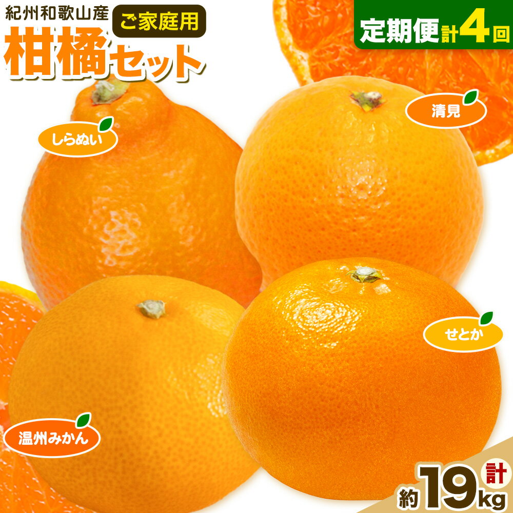 【ふるさと納税】【発送月固定定期便】紀州 和歌山産 旬の ご家庭用 柑橘 セット (みかん 不知火 せとか 清見)【全4回】 計19kg 魚鶴商店《1月上旬-5月上旬頃出荷》 和歌山県 日高町 みかん 不知火 清見 オレンジ 柑橘 蜜柑 果物 訳あり 送料無料 定期便