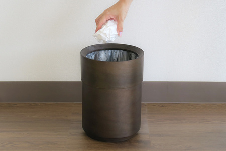 BUNACO 袋の見えないダストボックス（ダークブラウン） ブナコ ゴミ箱 木製家具 おしゃれ  シンプル