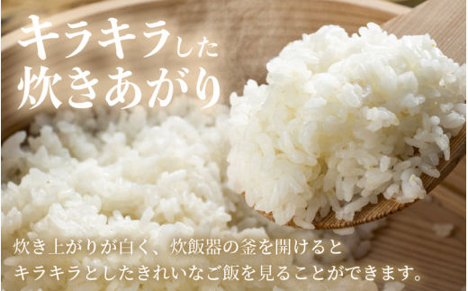 令和7年産 あきさかり 10kg 福井県産 コシヒカリ系統品種【白米】【お米 アキサカリ 10キロ】 [e30-b019]