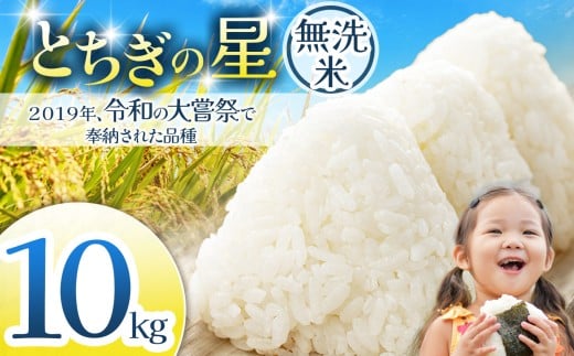 令和大嘗祭献上米！栃木県産 とちぎの星(無洗米)10kg 先行予約 栃木県共通返礼品 | ふるさと納税 美味しい お弁当 おにぎり おいしい 数量限定 ご飯 栃木県 那珂川町