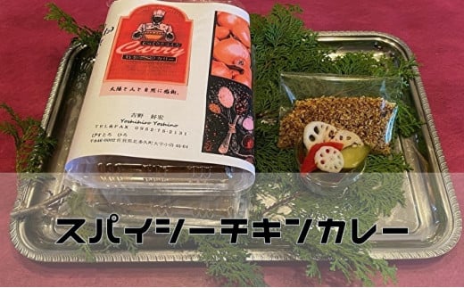 マイルドなコクのある スパイシー チキンカレー 自家製 ピクルス 付き _b-129