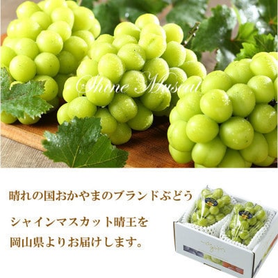 【2025年8月発送】岡山県産　シャインマスカット　晴王　500g×2房【配送不可地域：離島・北海道・沖縄県】