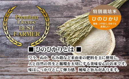 ひのひかり 坂本自然農場 穂田琉 精米 ひのひかり【5kg】