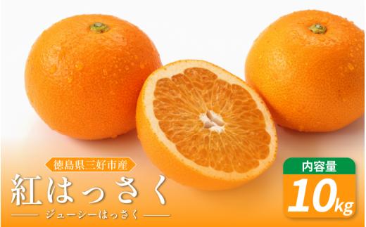 みかん はっさく 10kg 先行予約 八朔 国産 紅八朔 紅はっさく 蜜柑 柑橘 ミカン オレンジ 数量限定 特産品 期間限定 徳島 フルーツ 果物 オレンジジュース おやつ デザート 徳島県 三好市 みよし miyoshi 小笠原智