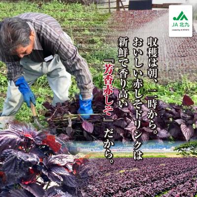 ふるさと納税 遠賀町 遠賀郡産 赤しそドリンク 3本セット(遠賀町) |  | 01