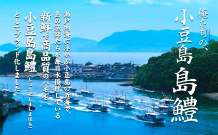 ハモ 魚貝類 小豆島島鱧 活け締め骨切り 小豆島産 ハモ【冷凍】