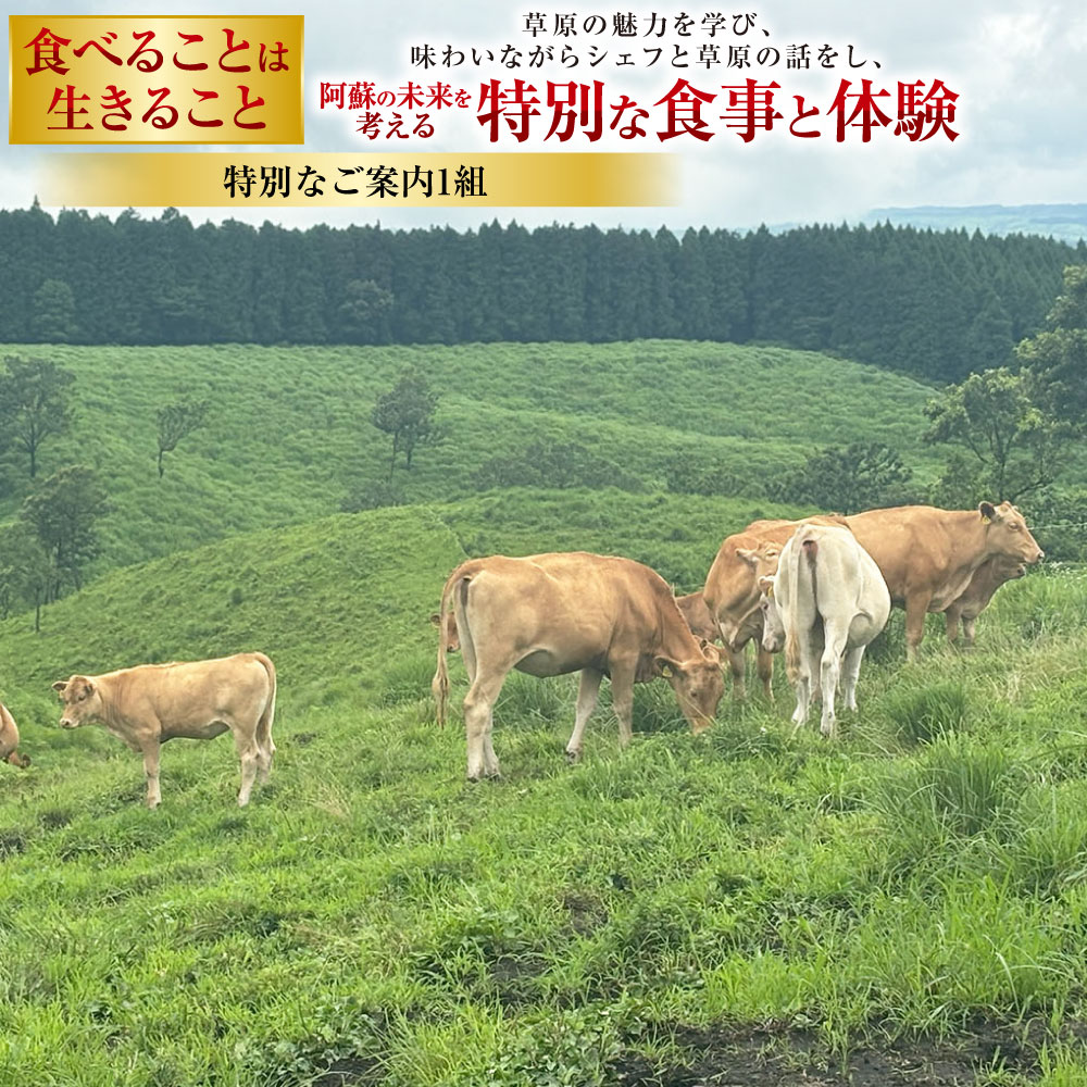 【ふるさと納税】～食べることは生きること～草原の魅力を学び、味わいながらシェフと草原の話をし、阿蘇の未来を考える特別な食事と体験 特別なご案内 1組 体験 チケット 九州 熊本県 送料無料