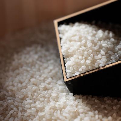 ふるさと納税 海田町 【毎月定期便】広島県産コシヒカリ5kg全3回 |  | 02