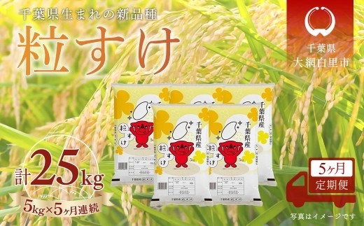 
                  ＜5か月定期便＞ 千葉県産「粒すけ」精米 5kg×5か月連続 計25kg
                