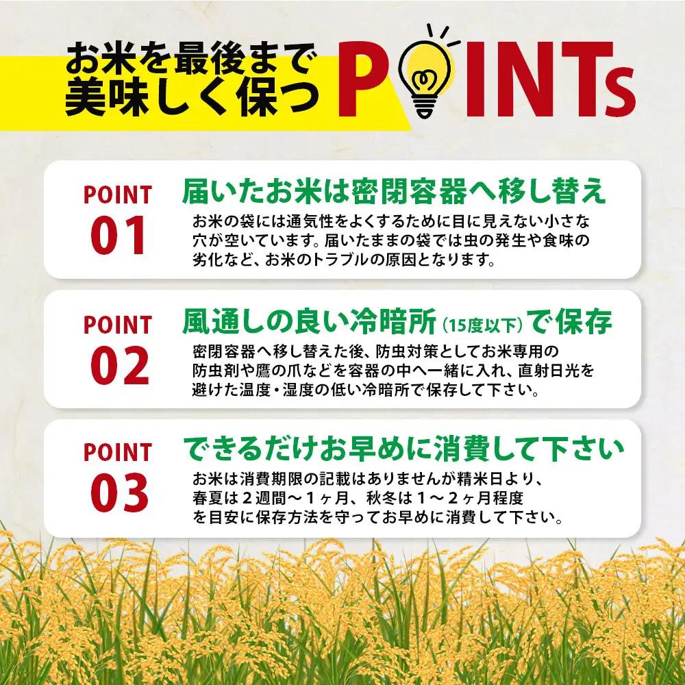 夢しずく 白米 10kg 令和7年産 鹿島市産 特A 獲得 | 米 お米 精米 こめ 国産 佐賀県 鹿島市 D-305