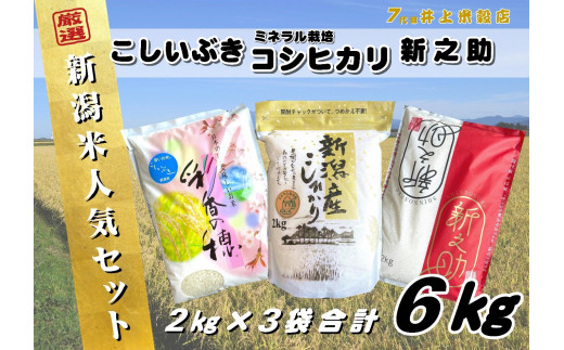 【令和7年産】新潟人気米セット 6kg (2kg×3種) ミネラル栽培コシヒカリ 新之助 こしいぶき 精米 白米 井上米穀店 新潟県 米 こめ コメ 1I27015