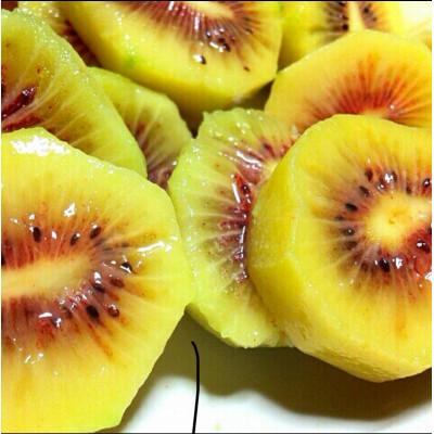 ふるさと納税 東久留米市 【先行受付】キウイフルーツ(紅妃) 2kg |  | 01
