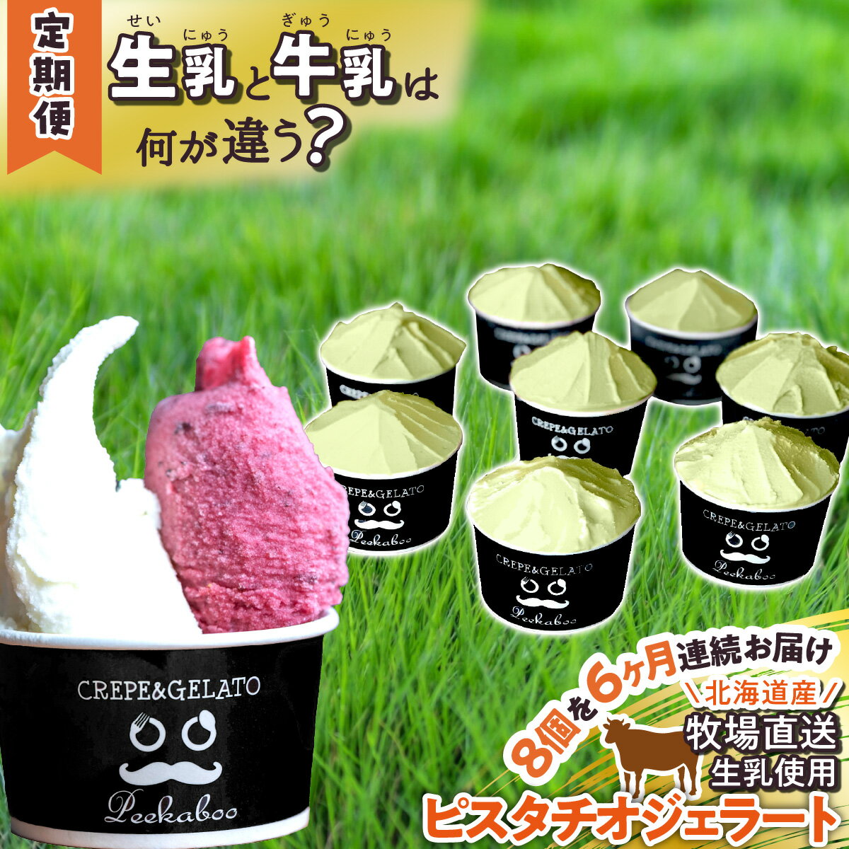 【ふるさと納税】 ＜6か月定期便＞ アイス ジェラート ピスタチオ 毎月 8個 北海道産 生乳 ジェラートセット スイーツ カップアイス カップ 詰め合わせ 北海道 新ひだか町
