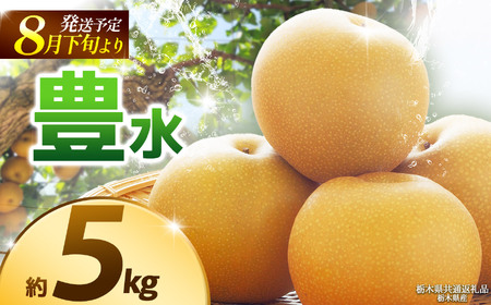 【栃木県共通返礼品】【2026年8月先行予約】豊水 約5kg |豊水 梨 なし ナシ 新品種 先行予約 大粒 新鮮 甘い 美味しい 果物 くだもの フルーツ ふるーつ 共通返礼品 フルーツ デザート 栃木県 那珂川町