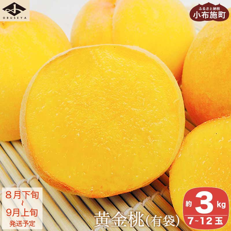 【ふるさと納税】＜先行予約＞ もも 黄金桃（有袋） 約3kg 7～12玉 ［小布施屋］ 桃 もも モモ フルーツ 果物 3kg 長野県産 信州産 クール便 冷蔵便 令和8年産【2026年8月下旬〜9月上旬発送】