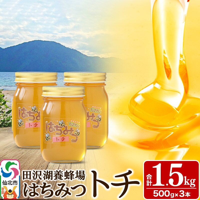 【ふるさと納税】秋田県産はちみつ トチ蜜500g×3本 合計1.5kg 化粧箱入り 田沢湖養蜂場 [蜂蜜 はちみつ ハチミツ 国産]