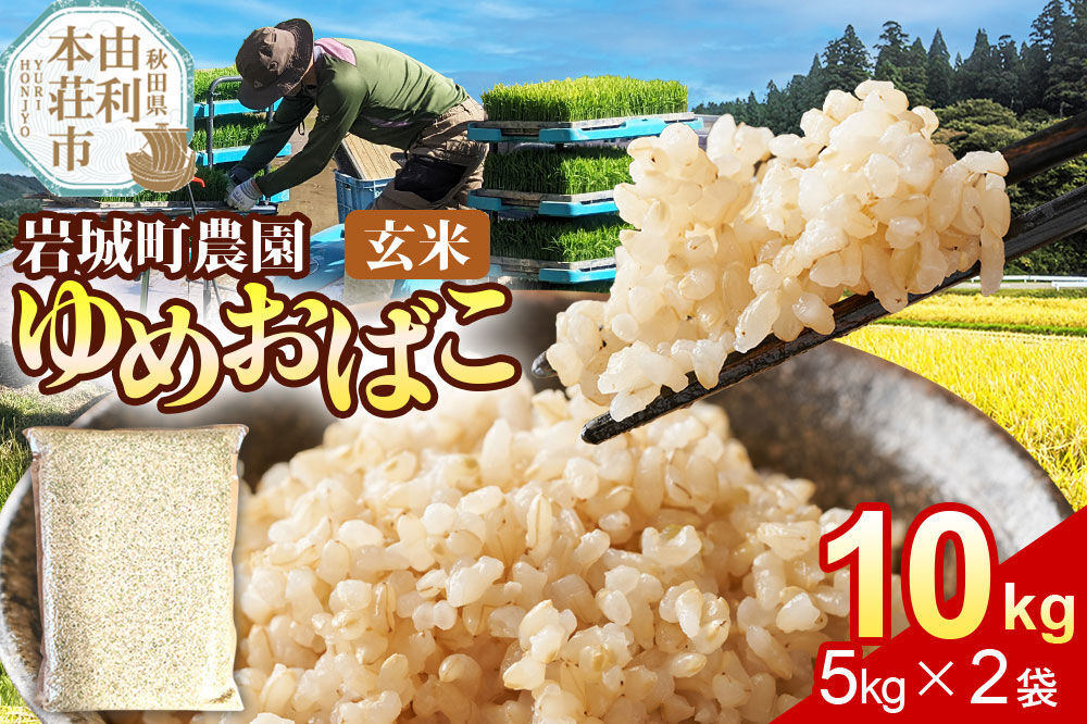 【玄米】ゆめおばこ 秋田県産 岩城町農園のゆめおばこ 10kg（5kg×2袋）令和7年産 真空パック [ゆめおばこ 米 お米 こめ 玄米 食卓 ご飯 ごはん おにぎり 秋田県 由利本荘市]