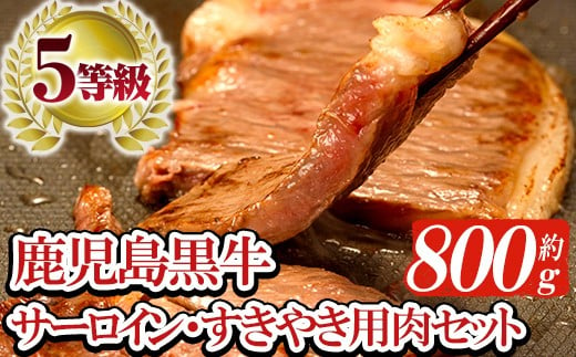 鹿児島黒牛 食べ比べ 800g サーロイン ステーキ 200g×1P ウデ スライス 600g（300g×2P） A5等級 内閣総理大臣賞受賞！日本一 の 鹿児島黒牛 冷凍 小分け の 国産 鹿児島県産 ステーキ スライス肉の詰め合わせ 【H-701】【C-83H】