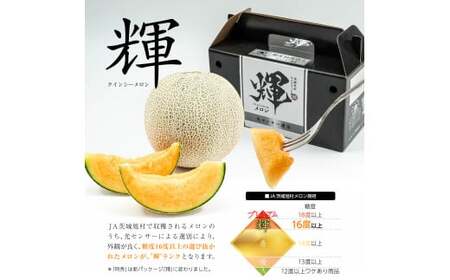 メロン めろん ＼光センサーで計測 糖度16度以上！／クインシー 【輝】2玉  茨城 鉾田 サングリーン旭 フルーツ 旬 プレゼント 人気 おすすめ 贈り物 甘い ヘルシースイーツ 産地直送 農業王国