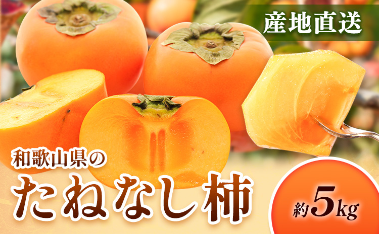 ＜10月より発送＞たねなし柿 5kg 刀根早生 平核無柿 ひらたねなしかき 池田鹿蔵農園《10月上旬-12月上旬頃出荷》 和歌山県 日高町 柿 カキ かき たねなし ジューシー フルーツ 種無柿 種無し柿 種なし柿 無核柿