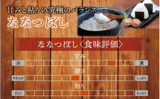 令和7年産 ななつぼし 10kg ( 5kg ×2袋 ) 【sun400-nana-r10-R7B】