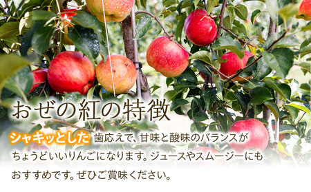 【2024年/令和6年度発送分！先行予約】甘さの中に程よい酸味があり、香り豊かな初秋のりんご【おぜの紅】約5kg