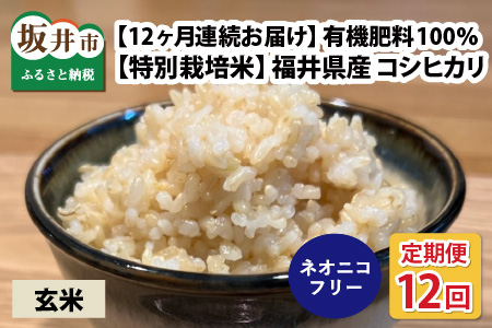 【先行予約】【令和7年産・新米】【12ヶ月連続お届け】【特別栽培米】福井県産 コシヒカリ 10kg ～化学肥料にたよらない有機肥料100%～ ネオニコフリー （玄米）【2025年10月上旬以降順次発送予定】【 玄米 お米 ごはん ブランド米 こしひかり 10キロ 産地直送 定期便 お楽しみ ふるさと納税米 】 [O-13401_02]