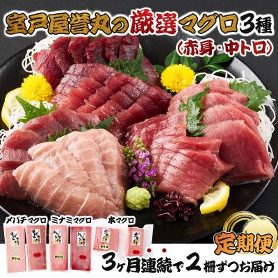 ふるさと納税 室戸市 室戸屋誉丸の厳選マグロ(赤身・中トロ)を定期便で食べ比べ!【3回お届け】