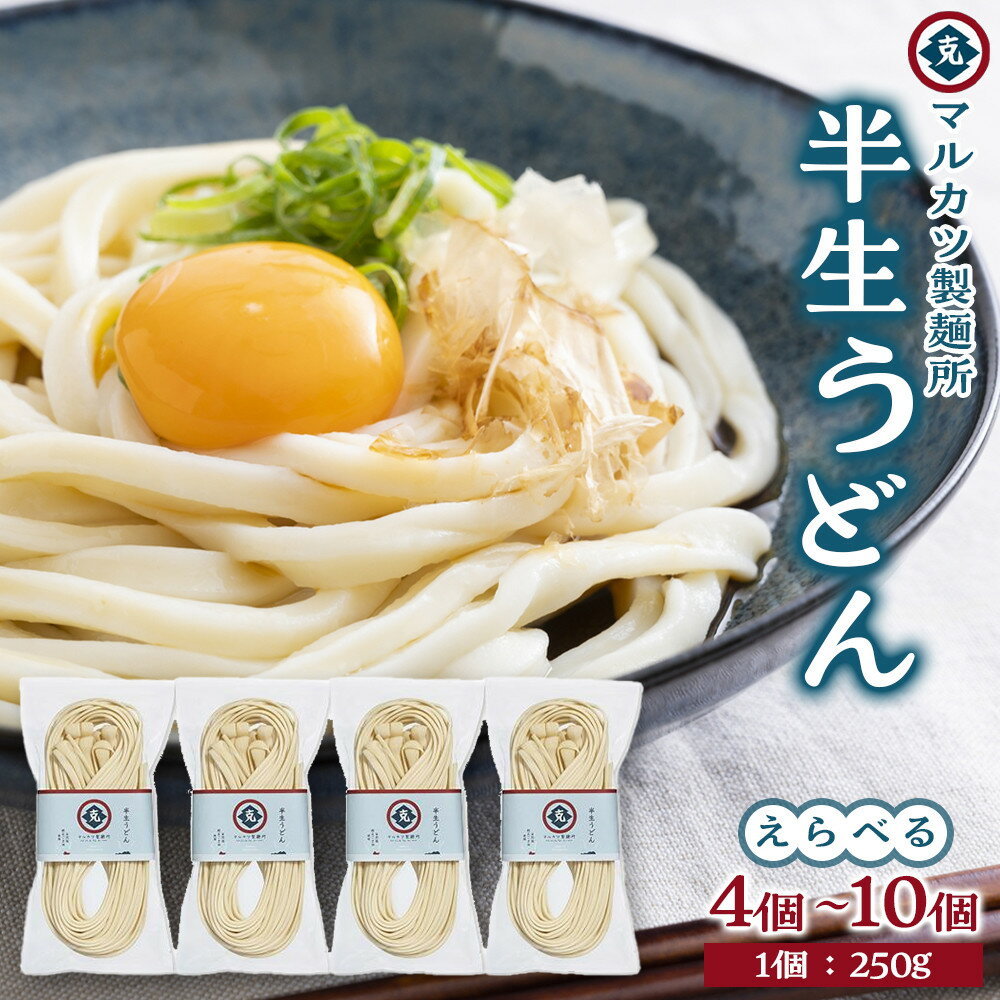 【ふるさと納税】半生うどん 250g 【4個 ～ 10個】 2～6人家族向け | 小豆島 饂飩 麺 めん 麺類 お取り寄せ グルメ 人気 おすすめ 香川県