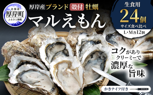 厚岸産 ブランド 殻付カキ マルえもん 生食用 サイズ食べ比べ 24個 (L・M各12個)[ 魚貝類 生牡蠣 かき 牡蠣 カキ 生ガキ 食べ比べ ]