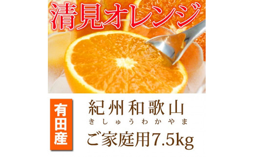 
            ［ご家庭用訳アリ］紀州有田産清見オレンジ　7.5kg［2026年3月下旬以降発送］［先行予約］［UT54］
          