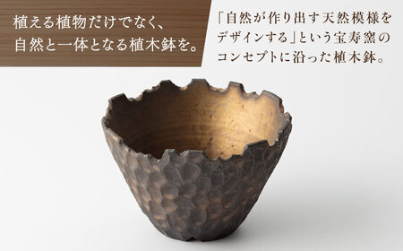 【宝寿窯】植木鉢 大carving[UCN025-1] 植木鉢