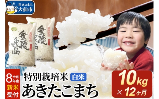 ＜令和8年産 新米受付＞《定期便12ヶ月》米 特別栽培米 あきたこまち【白米】10kg（5kg×2袋） [先行予約 新米 米 お米 こめ 白米 精米 特別栽培米 あきたこまち ブランド米 秋田県産]