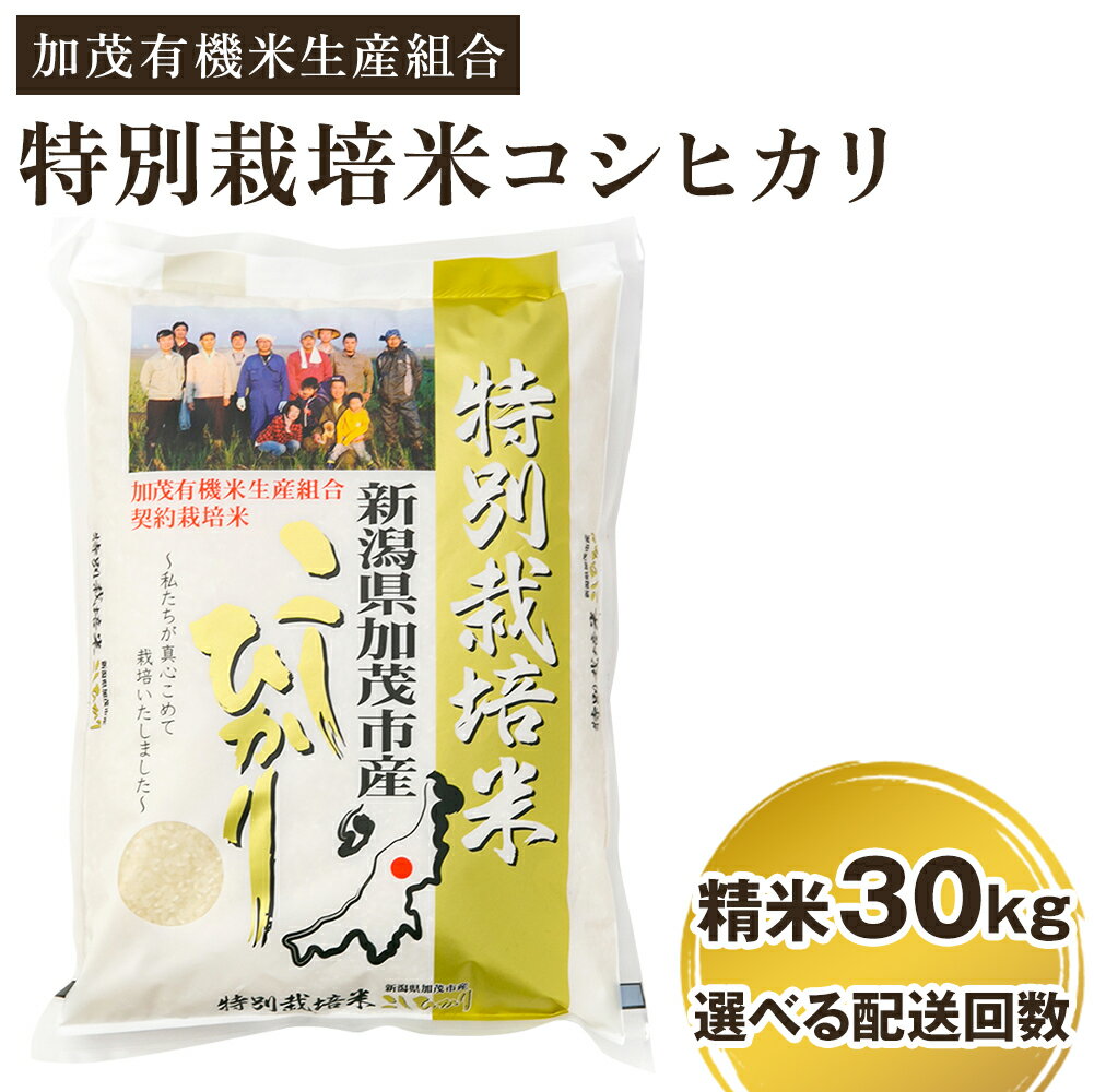 【ふるさと納税】【令和7年産新米先行予約】 新潟県加茂市産 特別栽培米コシヒカリ 精米30kg（5kg×6） 選べる配送回数（通常配送1回〜定期便12回） 《10月中旬から順次出荷》 白米 従来品種コシヒカリ 加茂有機米生産組合