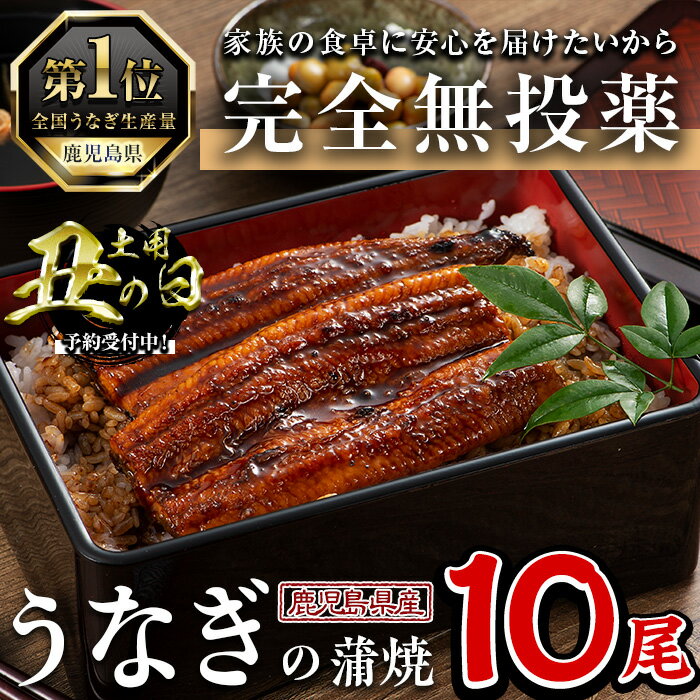 【ふるさと納税】＜丑の日先行予約受付中！＞鹿児島県産うなぎ蒲焼 (1尾あたり136g〜155g×10尾、タレ・山椒付き) 鰻 ウナギ うな重 ひつまぶし かばやき 九州産 国産 冷凍 【西日本養鰻】