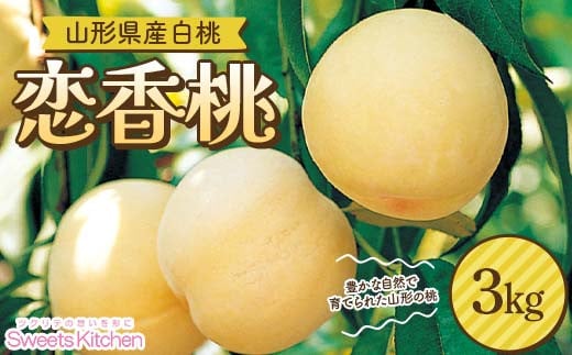 【スイーツキッチン】山形県産 白桃 恋香桃(れんかとう) 3kg(12～16玉前後) 硬め 2025年7月中旬から順次発送 F2Y-6280