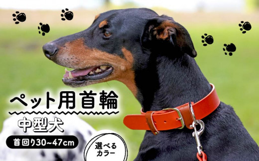 ペット用首輪 中型犬用 Lサイズ オレンジ 首回り34-42cm ペット 犬 愛犬 ワンちゃん 中型犬 首輪 リード 本革 レザー 牛革 牛 散歩 さんぽ ウォーキング 健康 おしゃれ 消耗品 大阪府 松原市