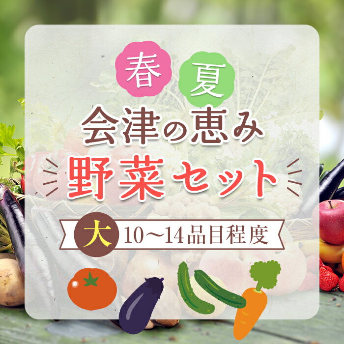 【ふるさと納税】春夏の会津発季節の野菜だより(大)＜10～14品目程度＞ 朝採れ 野菜 セット 詰合せ 契約農家 朝採り 採れたて 新鮮 会津野菜 食品 F4D-1408