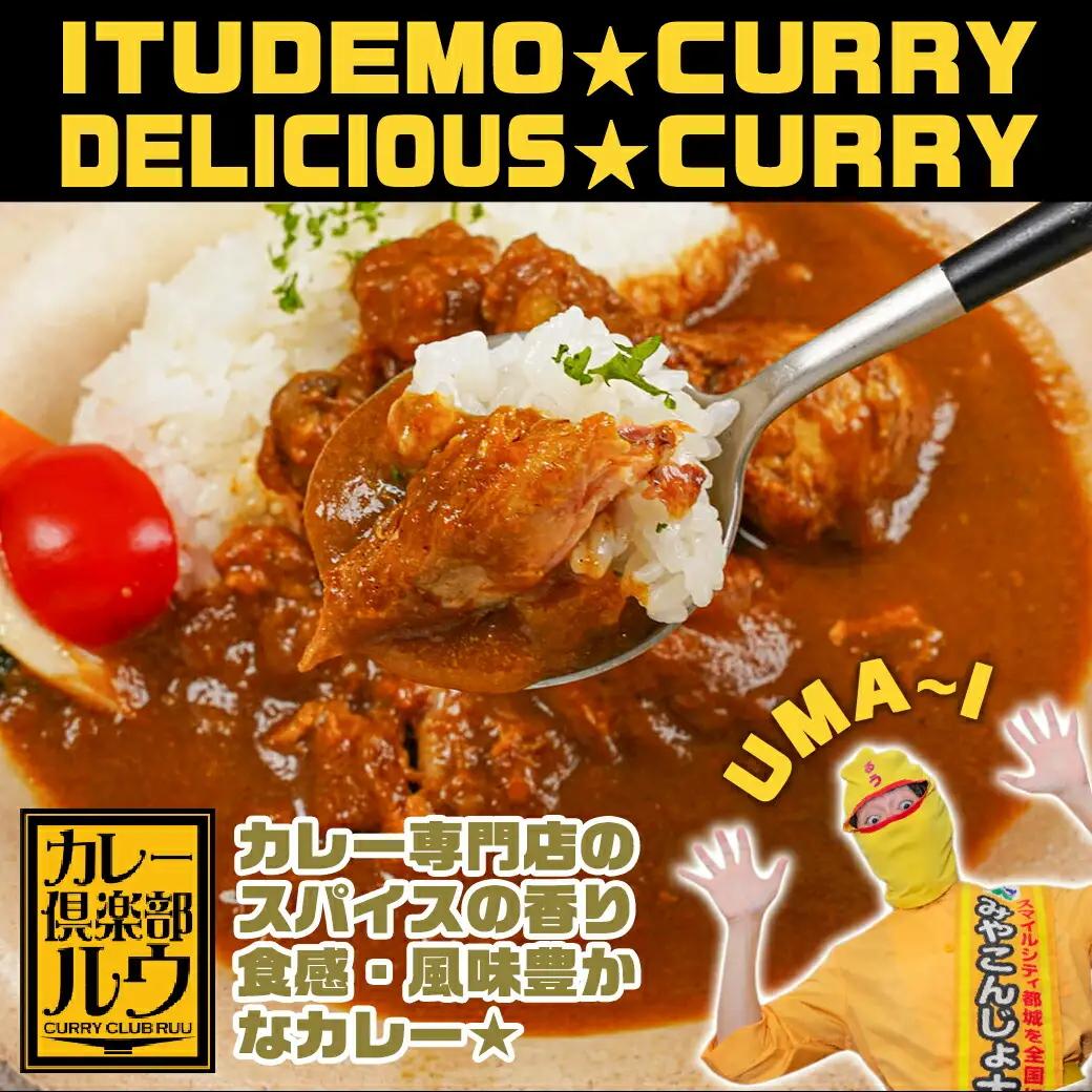カレー倶楽部ルウのビーフカレー10食＆手羽元カレー2食セット〔AA-2709〕_(都城市) ビーフカレー 都城産黒毛和牛使用 手羽元カレー 霧島鶏使用 合計12食 チルド食品