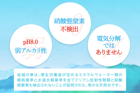 純天然アルカリイオン水 7年保存水500ml 24本入 2箱 ミネラルウォーター 軟水 水 長期保存 飲料水 防災 備蓄 備蓄水 非常用 保存用 防災用 国産 天然水 アルカリイオン【043_1842