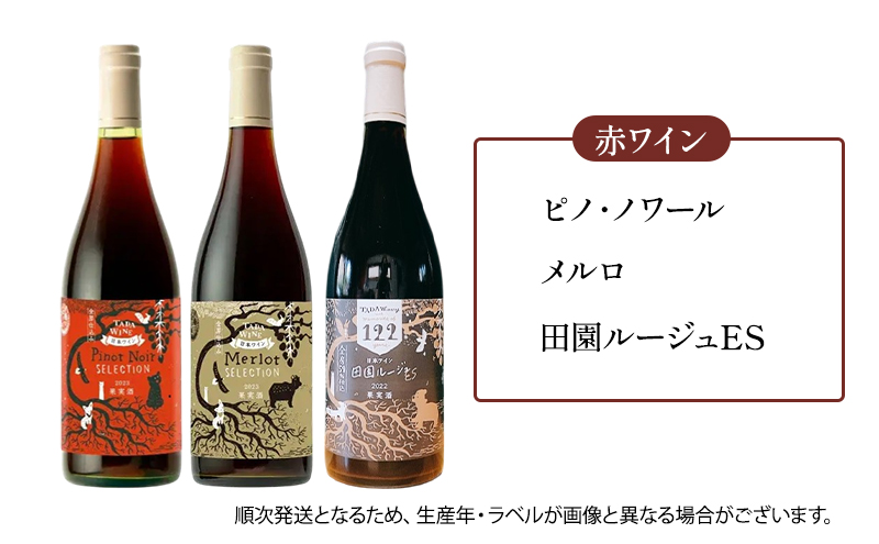 6ヵ月定期便◆野生酵母ワイン 毎月3本お届け(6ヵ月間) 多田ワイナリー 北海道 上富良野町 ワイン 赤ワイン 白ワイン 微発泡ワイン オレンジワイン