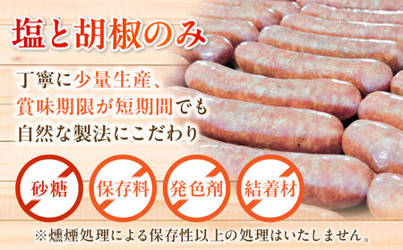 【全12回定期便】ベーコン・ソーセージセット / 燻製 豚肉 スモーク おつまみ / 瀬戸市 / 天佑[BBBZ040]