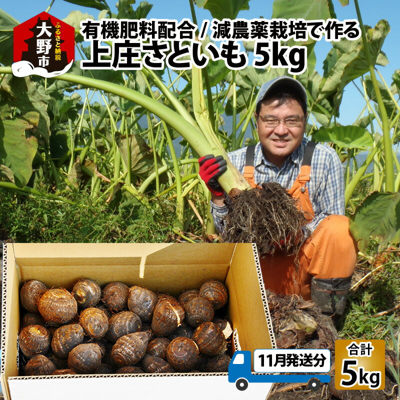 【ふるさと納税】【先行予約】【11月発送分】満天☆上庄産さといも 5kg 日本一の味をめざし、有機肥料配合、減農薬栽培の「独自栽培」で作る里芋【里芋・上庄里芋・減農薬】 [A-005001_01]