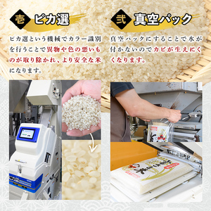 ＜新米・令和7年産＞大分県産ひのひかり 胚芽ビタミン米(計6kg・3kg×2パック)米 お米 ひのひかり ヒノヒカリ 白米 真空パック 大分県産【107800202】【お米の鈴木】